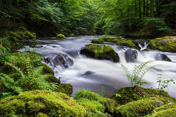 Zomerstroom — Stockfoto