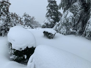 Liana Parkı fırtınadan sonra karla kaplı.