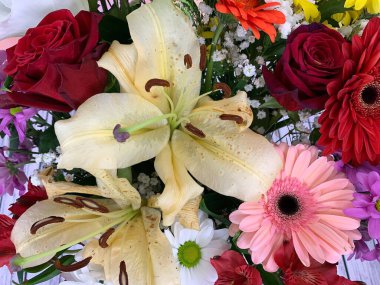 Parlak renklerde çeşitli çiçeklerin yakın plan görüntüsü 