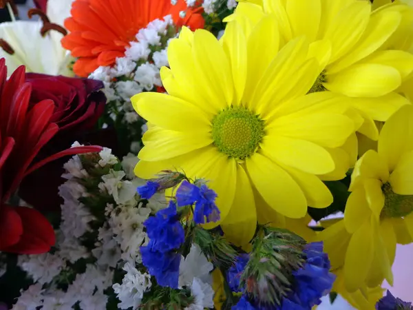 Primer Plano Flores Variadas Con Colores Brillantes —  Fotos de Stock