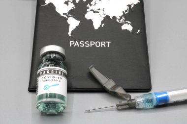 Pasaportun yanında şırınga ve aşı şişesi var.