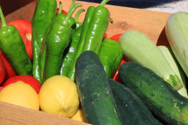 Vegetables and fruit in a box fresh from the garden