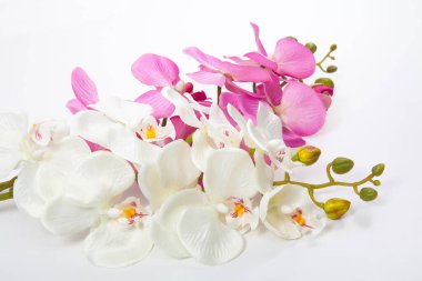 Beyaz arka planda yapay orkide çiçekleri. Spa konsepti.