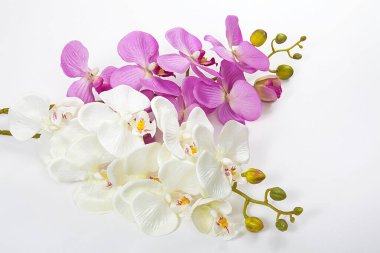 Beyaz arka planda yapay orkide çiçekleri. Spa konsepti.