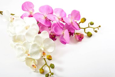 Beyaz arka planda yapay orkide çiçekleri. Spa konsepti.