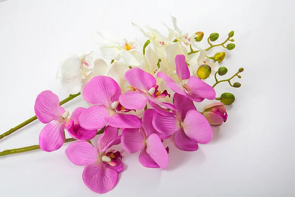 Künstliche Orchideenblüten Auf Weißem Hintergrund Kurkonzept — Stockfoto