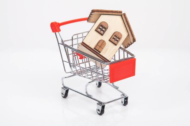 Emlakçı konsepti. Alışveriş arabasının içindeki ev modeli..