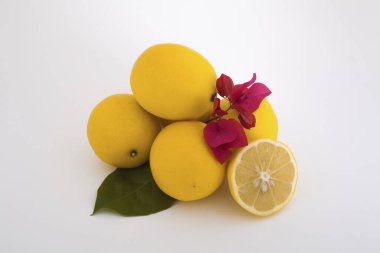 Beyaz arka planda sarı limon.