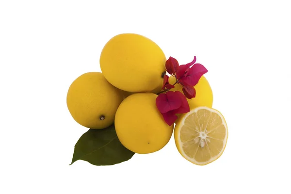 Yellow Lemon White Background — Stock Photo, Image