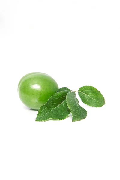 Beautiful Green Fresh Plum White Background Organic Fruit Concepts — Stock Photo, Image