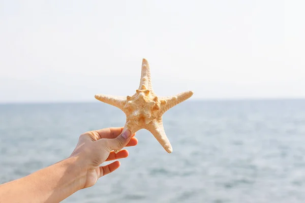 Coquille Mer Dans Main Femme Sur Plage Sable Ensoleillée Concept — Photo