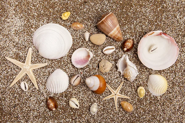 Muscheln Sandstrand Sonnigen Tagen Entspannungskonzept — Stockfoto