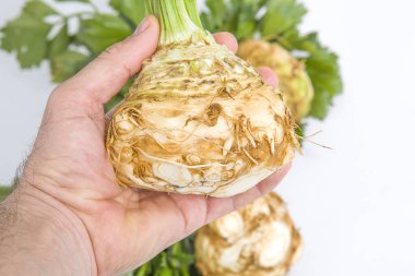 Adam elinde beyaz arka planda büyük bir kereviz tutuyor. Sağlıklı gıda konsepti.