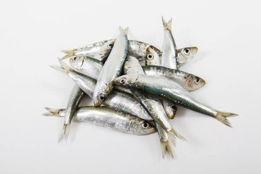  Beyaz arka planda sardalya.