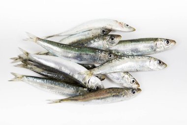  Beyaz arka planda sardalya.