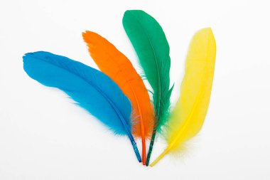 Beyaz arkaplan üzerinde renkli tüyler. 