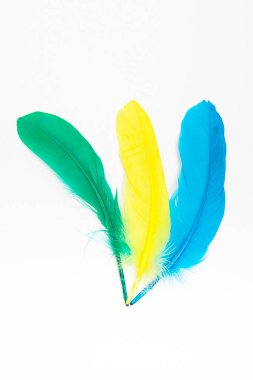 Beyaz arkaplan üzerinde renkli tüyler. 