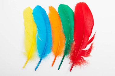 Beyaz arkaplan üzerinde renkli tüyler. 