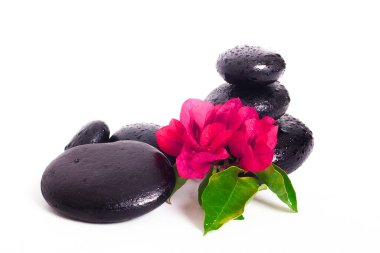 Beyaz arka planda çiçek ve spa taşları. Dekoratif taşlar.