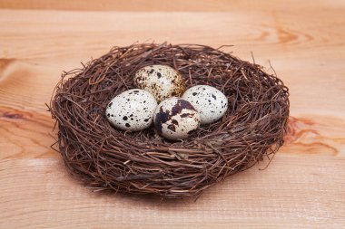 Tahta arka planda küçük bıldırcın yumurtaları.