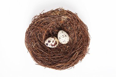 Beyaz arka planda küçük bıldırcın yumurtaları.