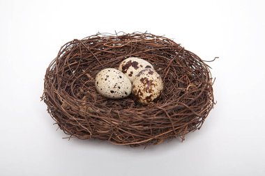 Beyaz arka planda küçük bıldırcın yumurtaları.