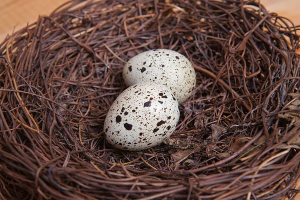 Pequenos Ovos Codorna Fundo Madeira — Fotografia de Stock