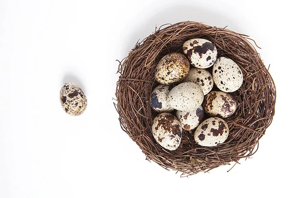 Pequenos Ovos Codorna Fundo Branco — Fotografia de Stock