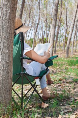 Elinde kitap olan genç bir kadın kırsalda piknik yapıyor. Mutlu, sıcak bir gün, açık havada. Parktaki kadın..