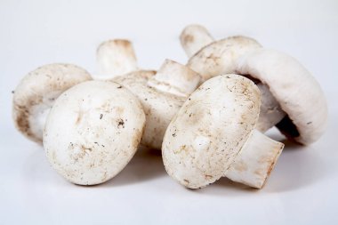 Beyaz arka planda taze mantarlar.