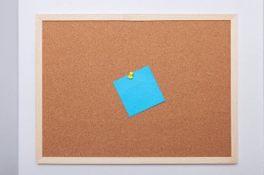  Mantar panodaki renkli notlar (ilan tahtası). Post-it..