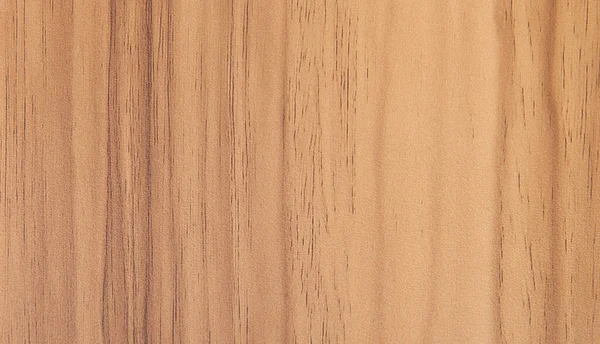 天然木纹 木墙背景 — 图库照片