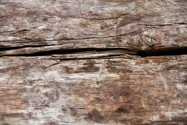 Doğal ahşap desen, ahşap duvar arka planı..