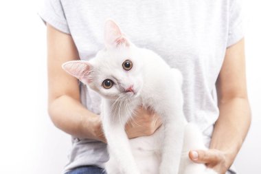 Beyaz kedi kadının kucağında oturuyor..