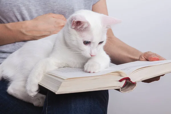 Küçük Kedisiyle Kitap Okuyan Bir Kadın — Stok fotoğraf