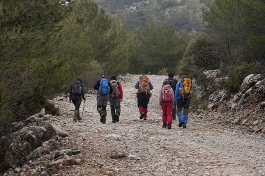  Sonbaharda ya da kış mevsiminde sağlıklı yaşam tarzı için doğa yürüyüşü grubu.
