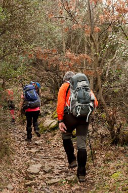  Sonbaharda ya da kış mevsiminde sağlıklı yaşam tarzı için doğa yürüyüşü grubu.