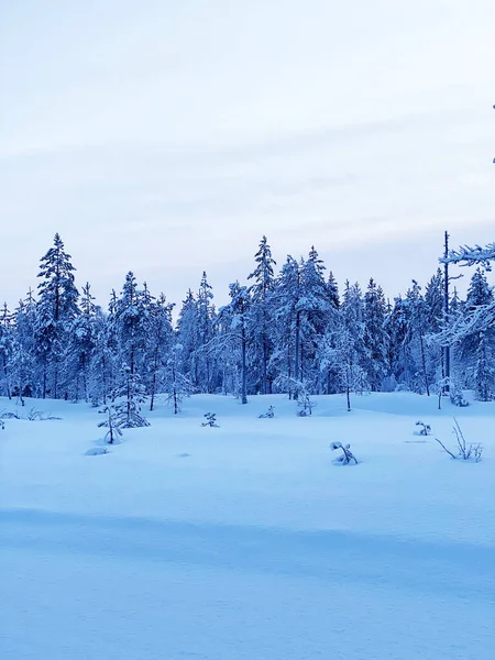 Lunga Strada Nella Neve Bellissimo Paesaggio Invernale Montagna Alba — Foto Stock