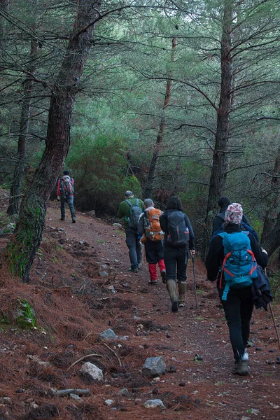 Naturaleza Caminando Grupo Caminando Por Sendero Otoño Invierno Concepto Estilo — Foto de Stock