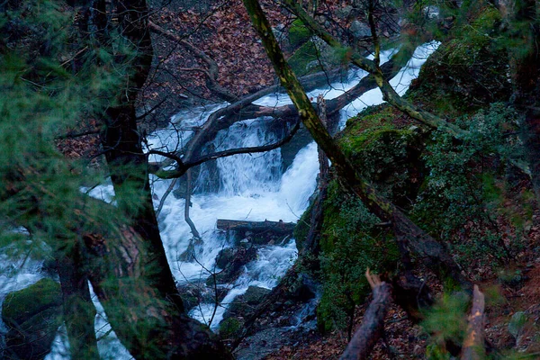 Rivers Waterfalls Autumn Spring Concept Nature Walks — Stock Photo, Image