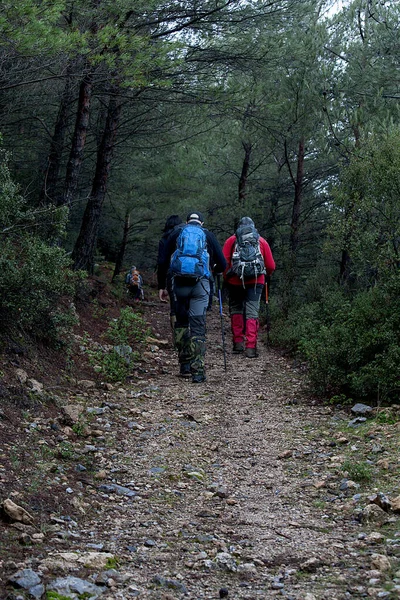 Nature Walking Group Walking Footpath Autumn Winter Concept Healthy Lifestyle — Stock Photo, Image