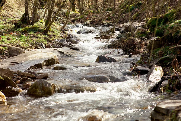 Rivers Waterfalls Autumn Spring Concept Nature Walks — Stock Photo, Image