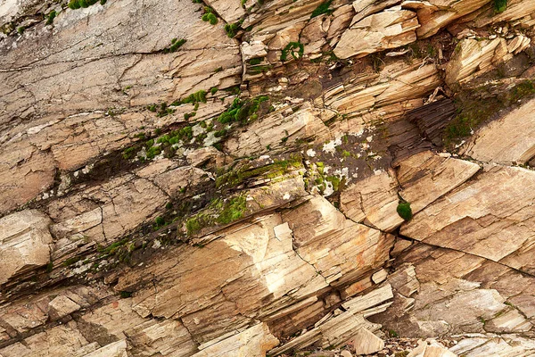 Mossy Rocks Autumn Winter Concept — Stock Photo, Image