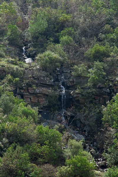 Řeky Vodopády Podzimní Nebo Jarní Koncepce Procházky Přírodou — Stock fotografie