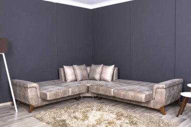 Oturma odasında bej bir kanepe..