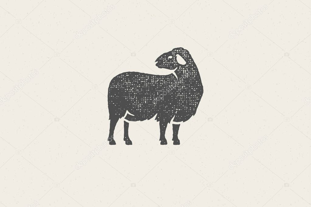 Woolly sheep silhouette for domestic farm industry hand drawn stamp effect vector illustration. Vintage grunge texture emblem for butchery packaging and menu design or label decoration.