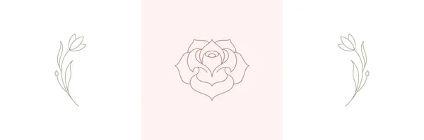 Роза нежный природный цветок и веточки с цветущим цветком в бохо линейного стиля векторные иллюстрации набор. — стоковый вектор