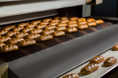 Fırından taze çörek.