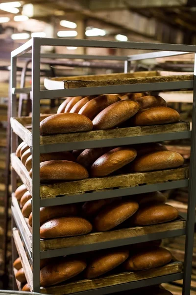 Baker mette il pane appena sfornato sugli scaffali . — Foto Stock