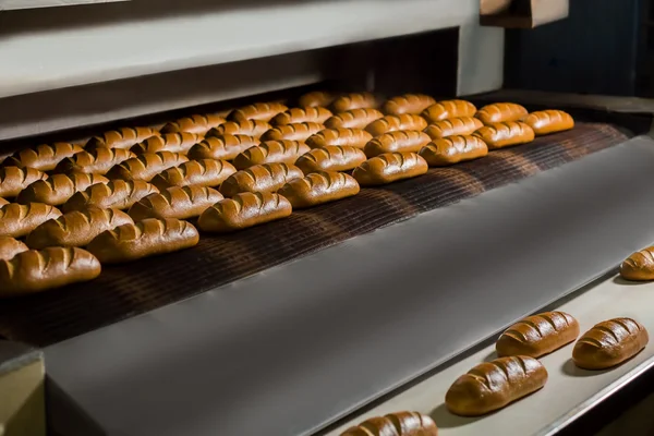 Pães frescos do forno . — Fotografia de Stock